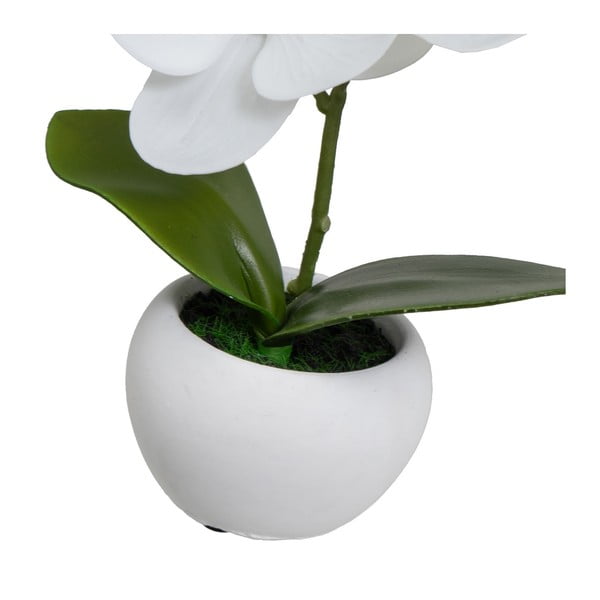 Műnövény szett 3 db-os (magasság 15 cm) Orchid – Casa Selección-image-2