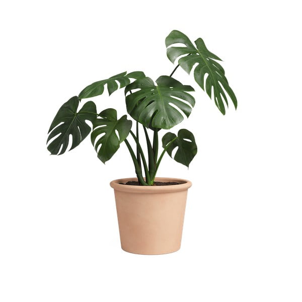 Terrakotta virágcserép ø 39 cm Saramago Cilindro – Artevasi-image-1