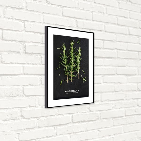 Kép 50x70 cm Rosemary – Styler-image-4