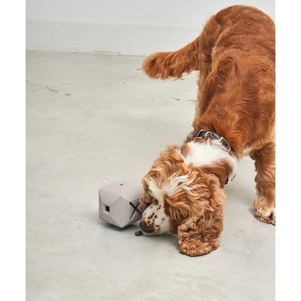 Kutyajáték Dado Greige – MiaCara-image-2