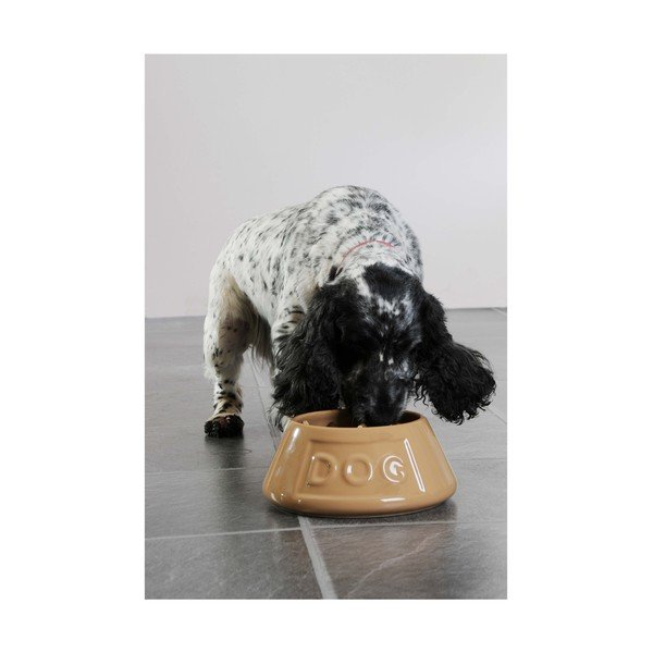 Pet Cane Dog agyagkerámia kutyatál, ø 21 cm - Mason Cash-image-4
