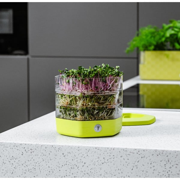 Műanyag csíráztató tálka ø 17 cm Mungo – Flower Lover-image-4