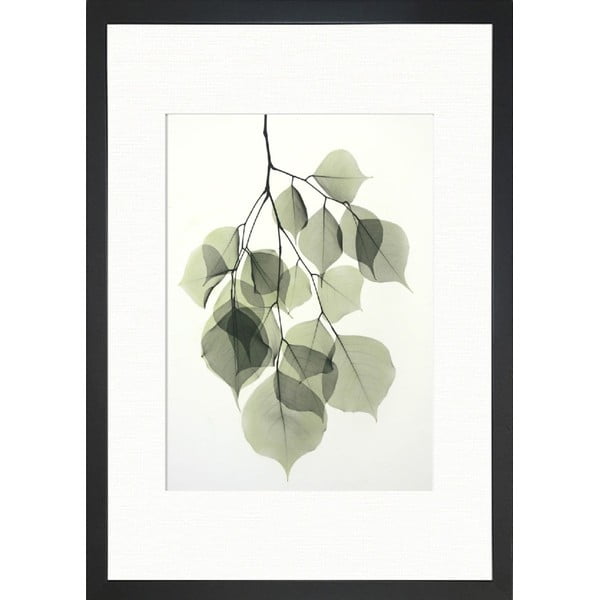Poszter 24x29 cm Tender Leaves – Tablo Center