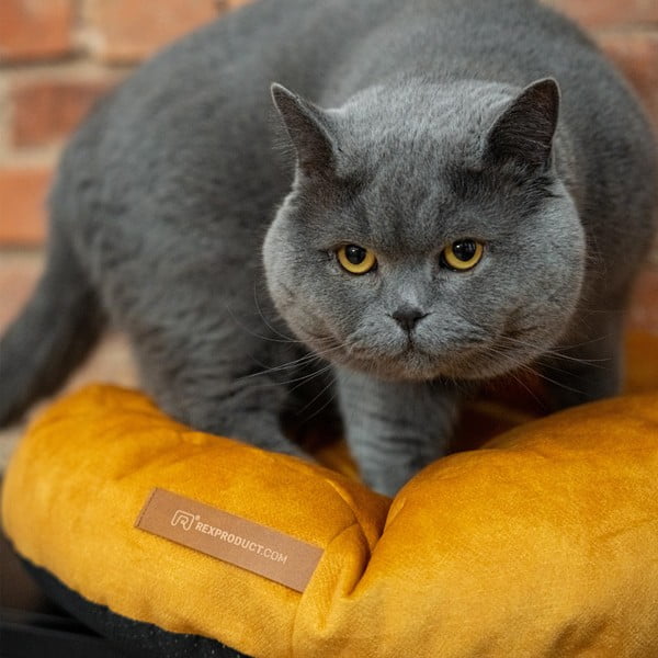 Sárga matrac kutyáknak ø 50 cm Coco S – Rexproduct-image-3