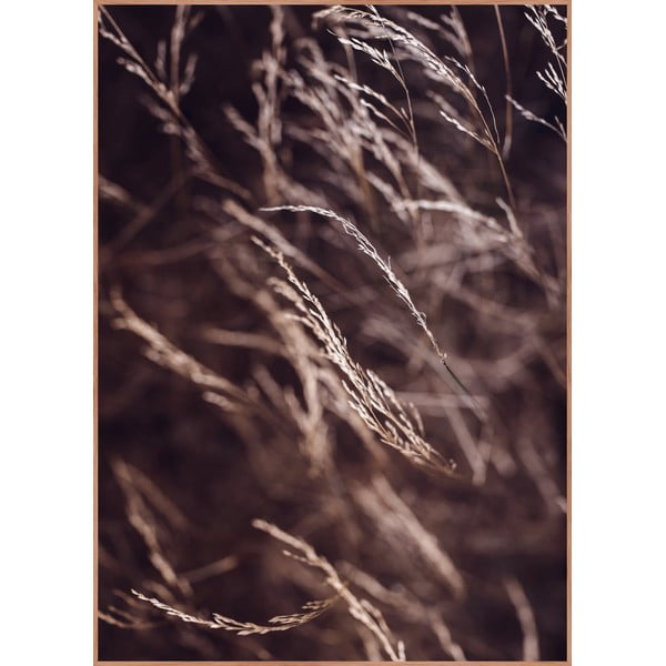 Keretezett poszter 50x70 cm Mellow Grasses 7 – Malerifabrikken