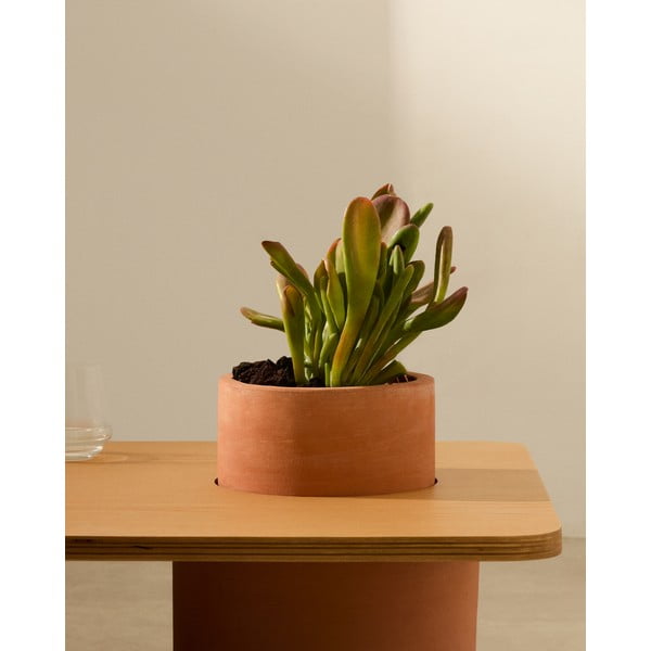 Natúr színű kerek dohányzóasztal kőrisfa dekorral 60x110 cm Olaria – Kave Home-image-2