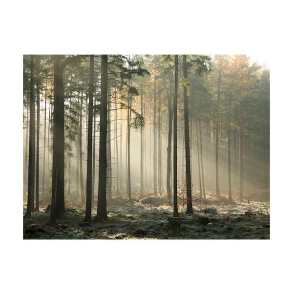 Foggy Norvember Morning nagyméretű tapéta, 200 x 154 cm - Artgeist