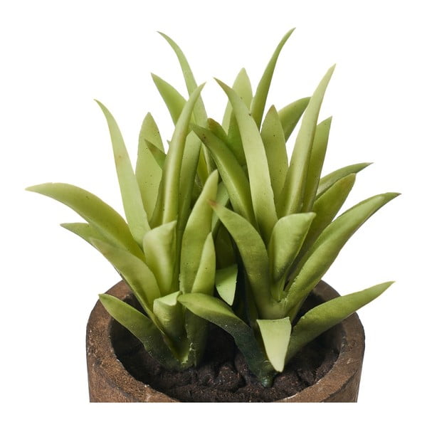 Műnövény szett 4 db-os (magasság 10 cm) Cactus – Casa Selección-image-3
