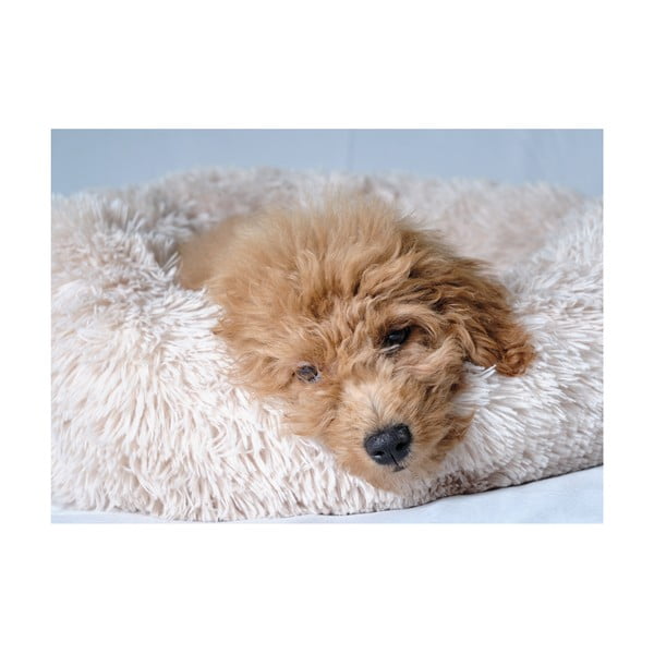 Krémszínű fekhely kutyáknak ø 55 cm – Love Story-image-3