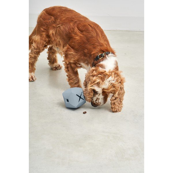 Kutyajáték Dado Sky – MiaCara-image-1