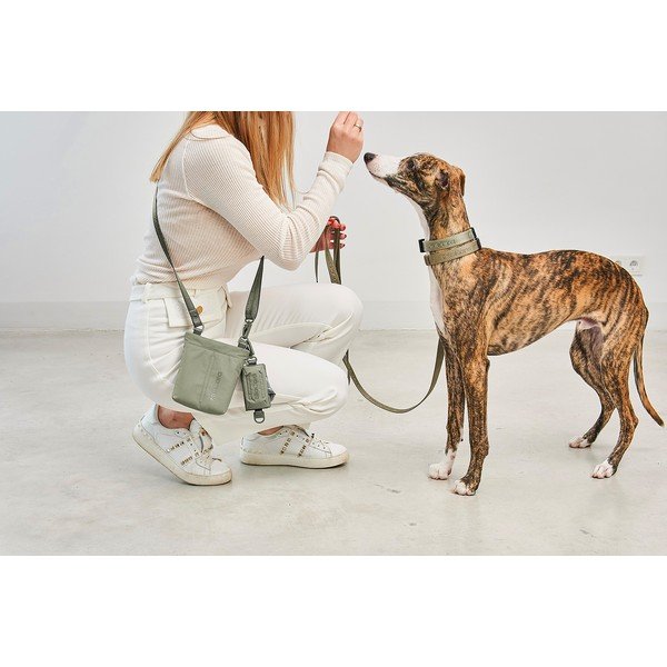 Jutalomfalat tartó Gusto Grolive – MiaCara-image-4