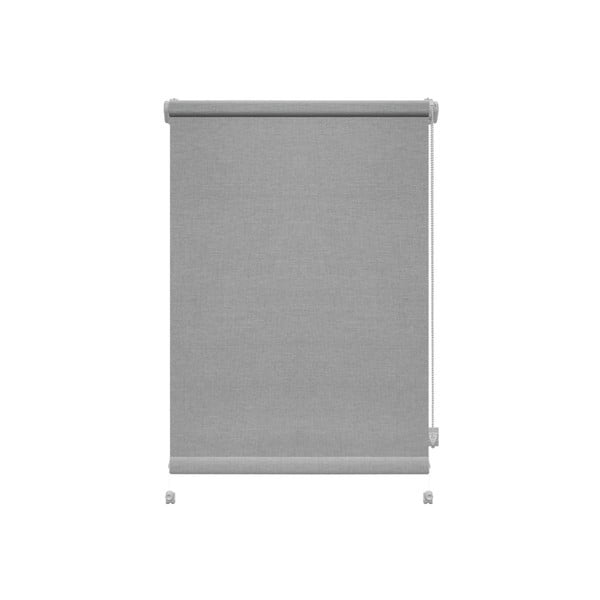 Világosszürke roló 80x150 cm Mini Faro – Gardinia