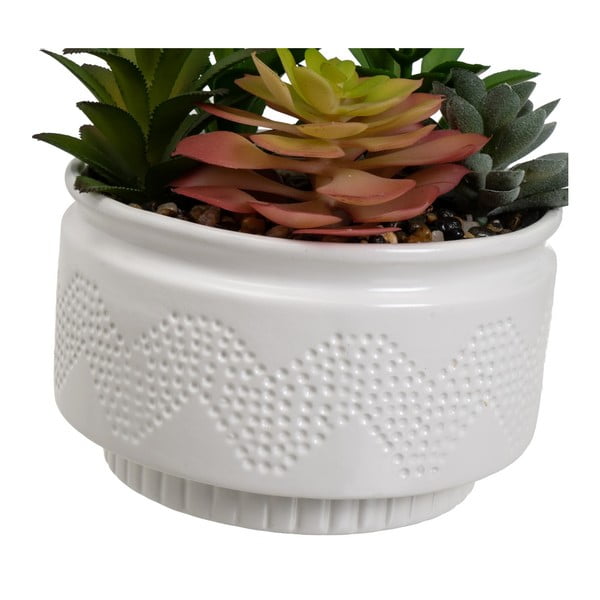 Műnövény szett 2 db-os (magasság 19 cm) Cactus – Casa Selección-image-1