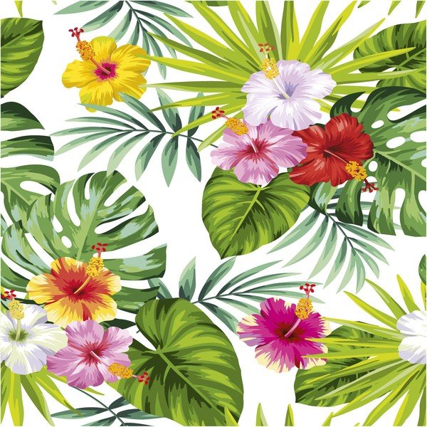 Sullana falmatrica, 60 x 60 cm - Ambiance-image-2