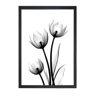 Scented Flowery kép, 23 x 28 cm - Tablo Center