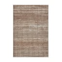 Barna-bézs szőnyeg 120x170 cm Terrain – Hanse Home