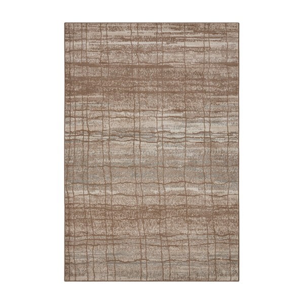 Barna-bézs szőnyeg 280x200 cm Terrain - Hanse Home