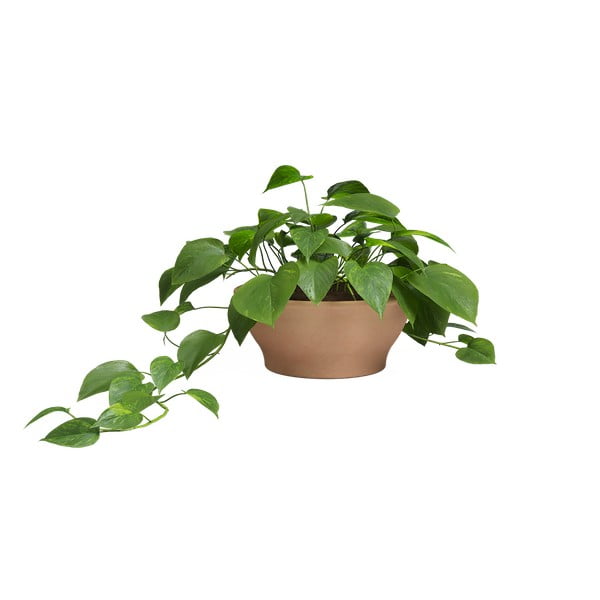 Terrakotta virágcserép ø 31 cm Saramago – Artevasi-image-1