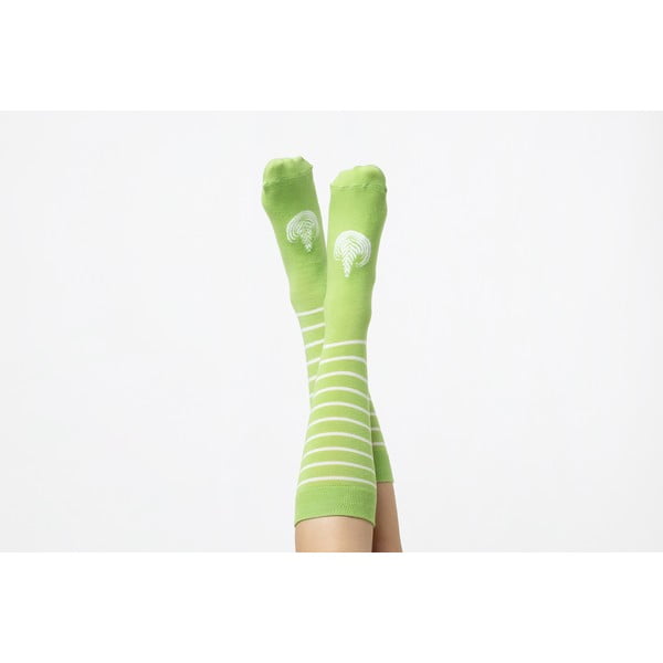 Latte zöld zokni, méret 37 - 43 - DOIY