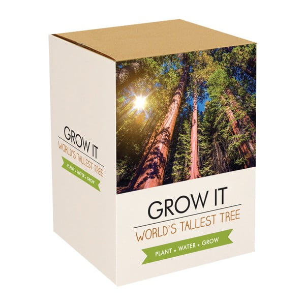 Sequoia The World Tallest Tree növénytermesztő készlet mamutfenyő magokkal - Gift Republic