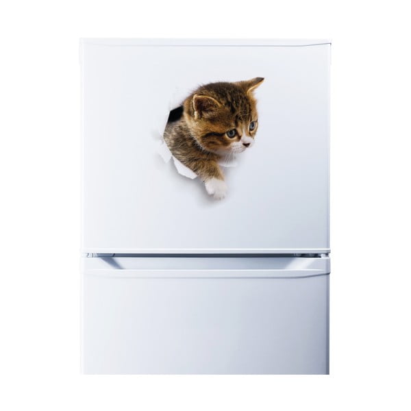 Hiding Cat falmatrica - Ambiance-image-2