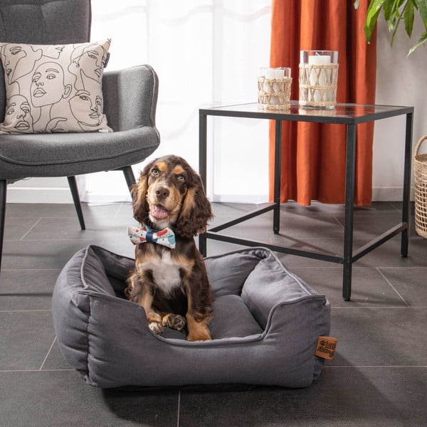 Kék fekhely kutyáknak 50x55 cm – Love Story-image-3