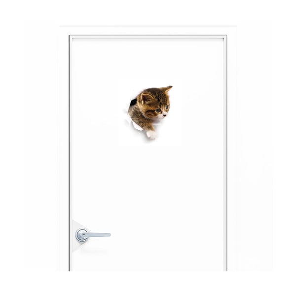 Hiding Cat falmatrica - Ambiance-image-1