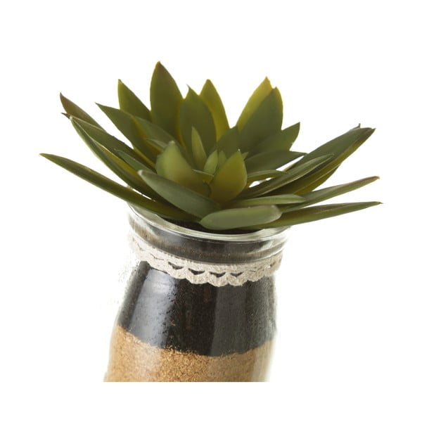 Műnövény szett 4 db-os (magasság 18 cm) Cactus – Casa Selección-image-3