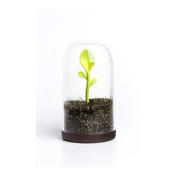 Sprout Jar doboz kanállal - Qualy&CO