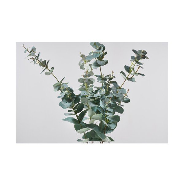 Eukaliptusz műnövény (magasság 71 cm) Kvist – Villa Collection-image-1
