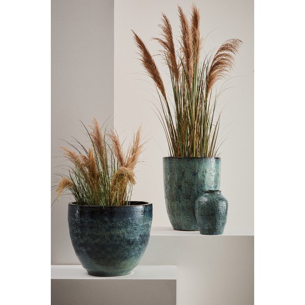 Műnövény (magasság 145 cm) Austorderia – Bizzotto-image-1