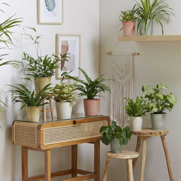 Kerámia kaspó ø 19 cm Canberra Effekt - Big pots-image-1