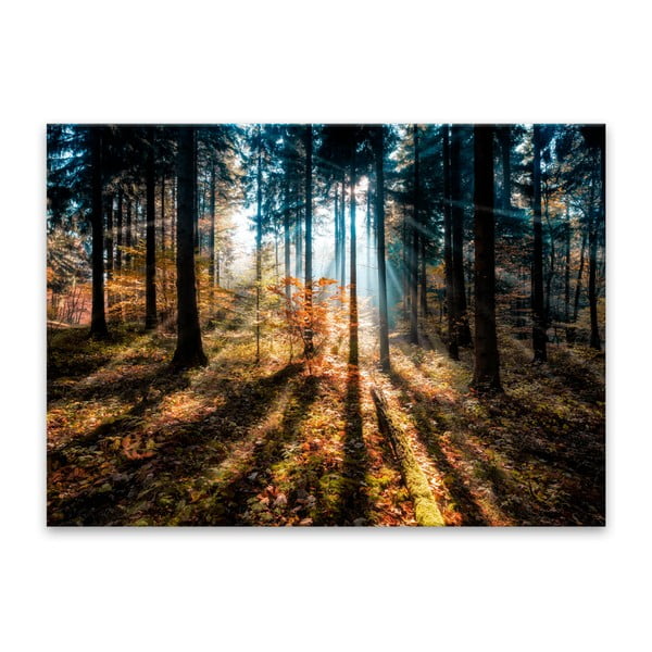 Glasspik Autumn Sunset kép, 70 x 100 cm - Styler