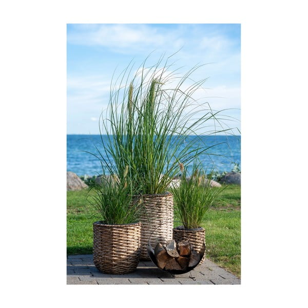 Vízijácint virágcserép készlet 3 db-os ø 49 cm Hanoi – House Nordic-image-1