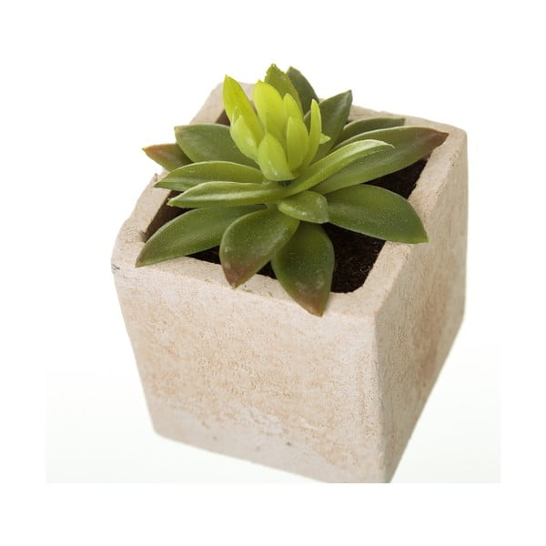 Műnövény szett 6 db-os (magasság 9,5 cm) Cactus – Casa Selección-image-1