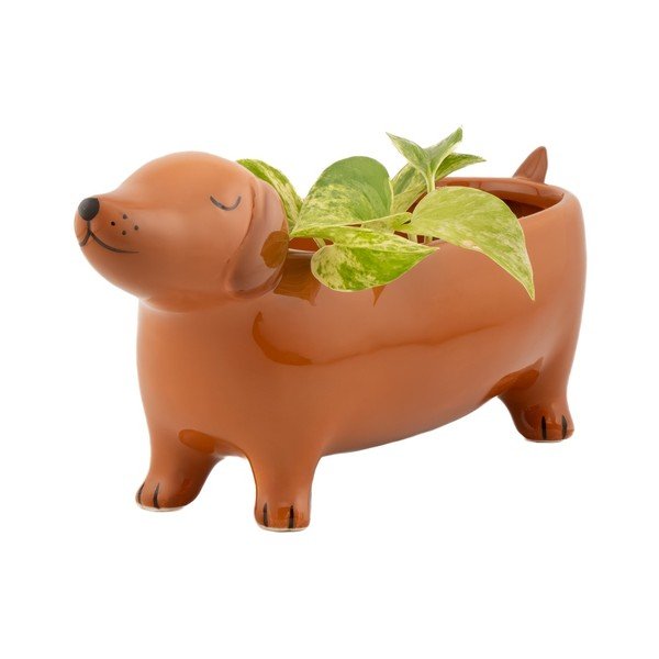 Kerámia kaspó Sausage Dog – Sass & Belle-image-4