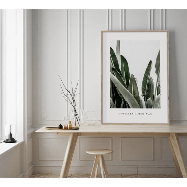 Kép 50x70 cm Strelitzia – Styler-image-1