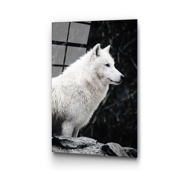 Üveg kép 70x100 cm White Wolf – Wallity-image-4