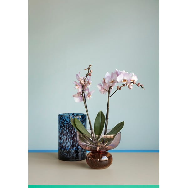 Hazy 2 db-os üveg váza szett - Hübsch-image-1