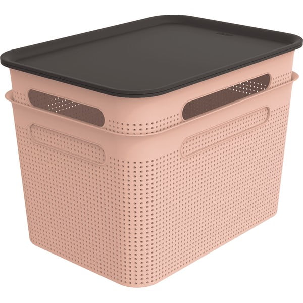 Világos rózsaszín fedeles műanyag tárolódoboz szett 2 db-os 26,5x36,5x26 cm Brisen – Rotho