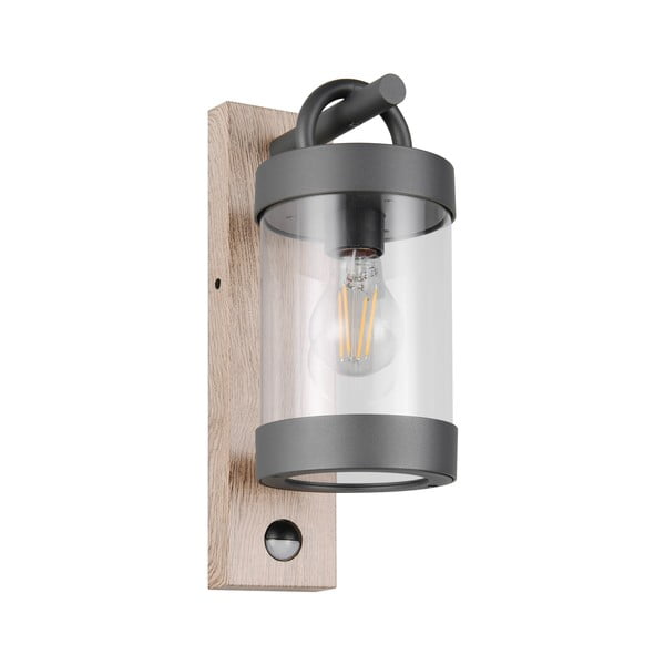 Fali kültéri lámpa (magasság 33 cm) Sambesi – Trio