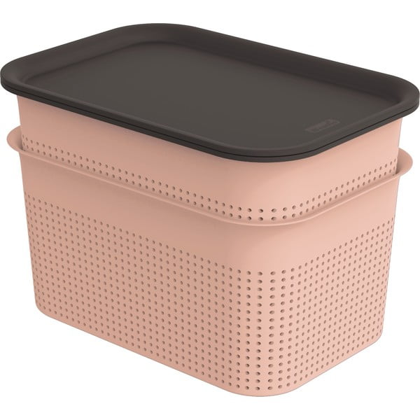 Világos rózsaszín fedeles műanyag tárolódoboz szett 2 db-os 18,5x26,5x18 cm Brisen – Rotho