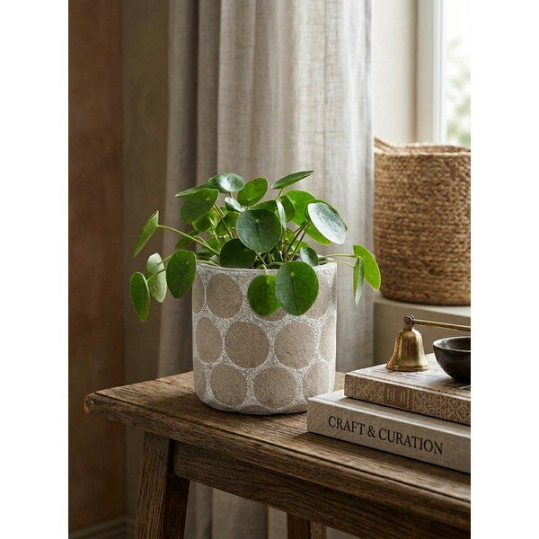 Terrakotta kézzel készített kaspó ø 12 cm Felan – Bloomingville-image-1