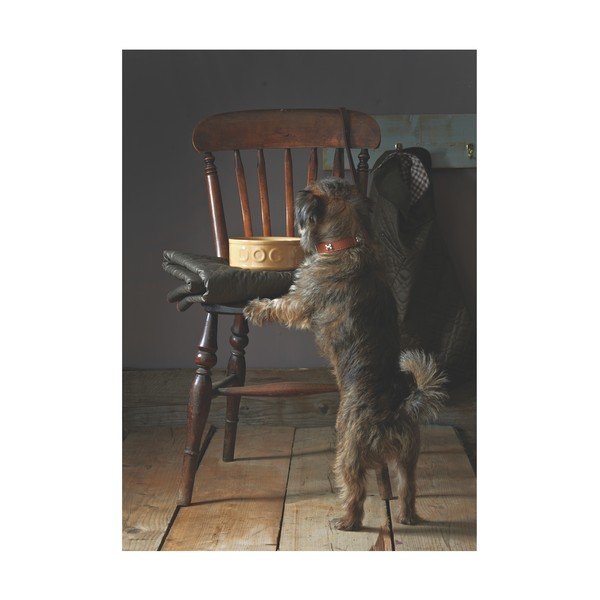 Pet Cane Dog agyagkerámia kutyatál, ø 25 cm - Mason Cash-image-4