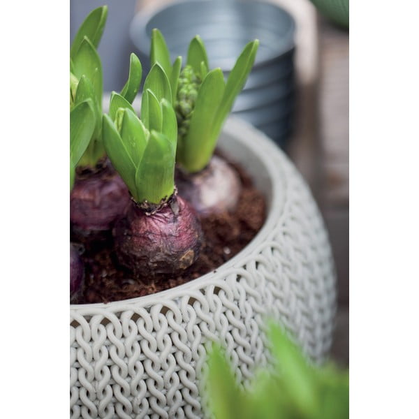 Műanyag függő virágcserép ø 28 cm Cozy – Keter-image-4