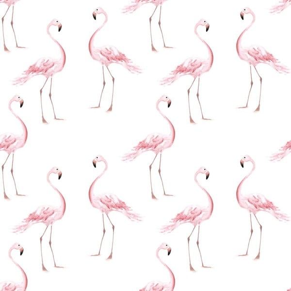 Flamingos tapéta, 50 x 280 cm - Dekornik