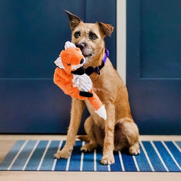 Róka kutyajáték – P.L.A.Y.-image-2