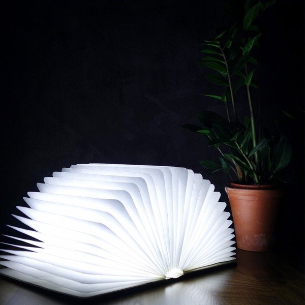 Natúr színű USB fénydekoráció Booklight – Gingko-image-1