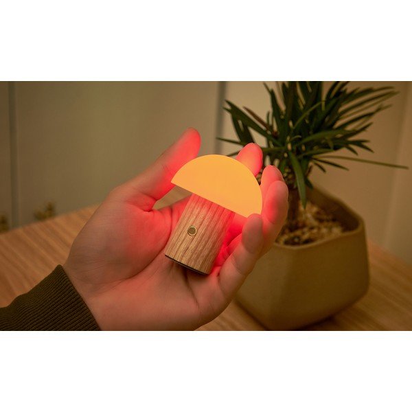 Natúr színű kőrisfa LED dimmelhető asztali lámpa (magasság 7 cm) Alice – Gingko-image-4