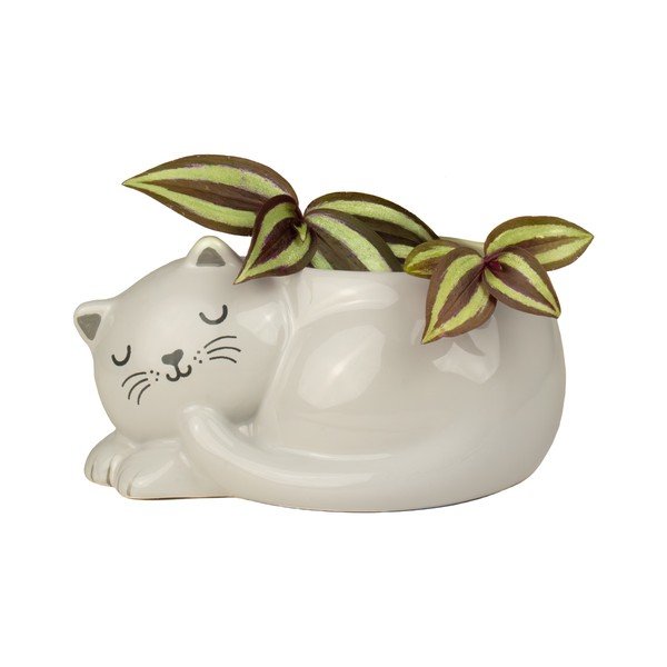 Kerámia kaspó Sleeping Cat – Sass & Belle-image-1